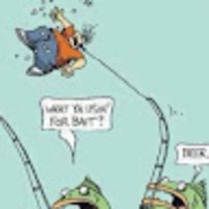 Meet your Posher, Donna